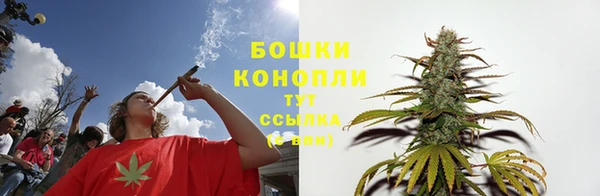 бошки Краснослободск