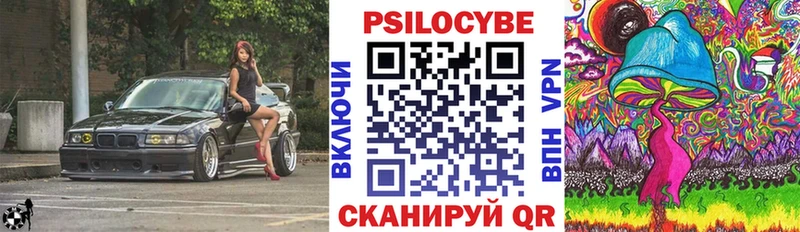 Галлюциногенные грибы Psilocybe  где продают   Сосенский 