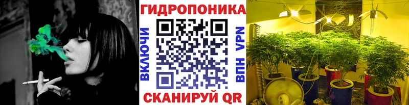 Бошки марихуана гибрид Сосенский